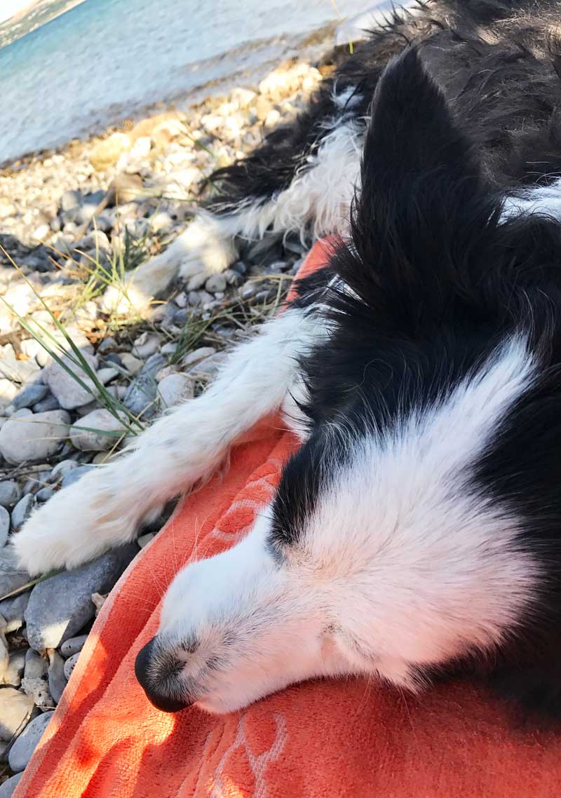 Gunna-za-blog-ljeto-2017